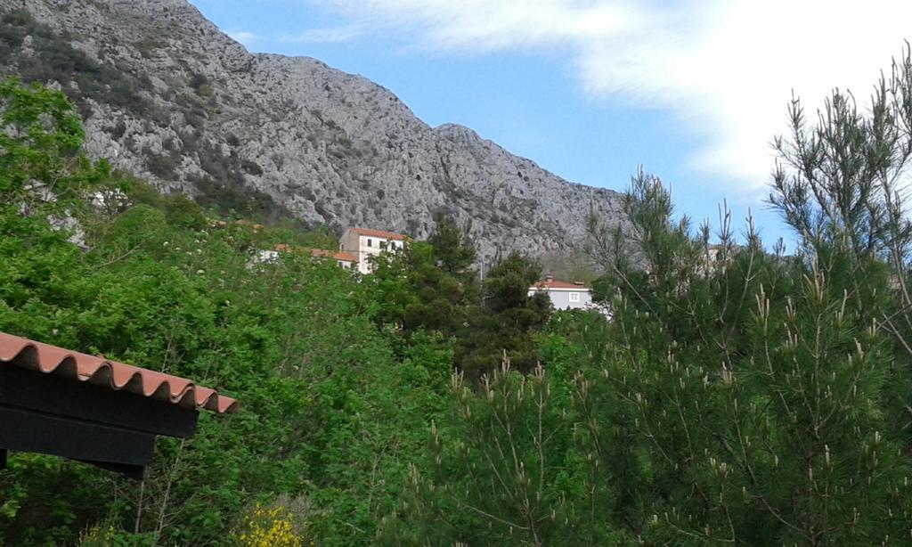 Charismatic Garden Cottage With Sea View Lokva Rogoznica Extérieur photo