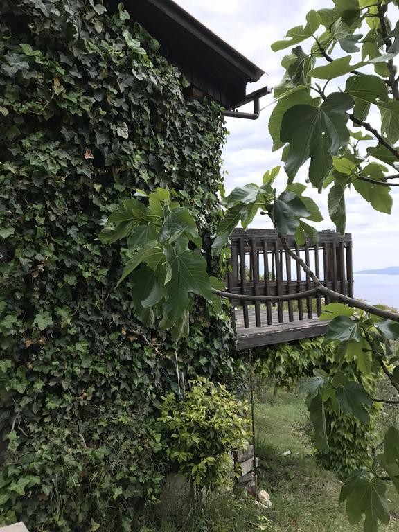Charismatic Garden Cottage With Sea View Lokva Rogoznica Extérieur photo